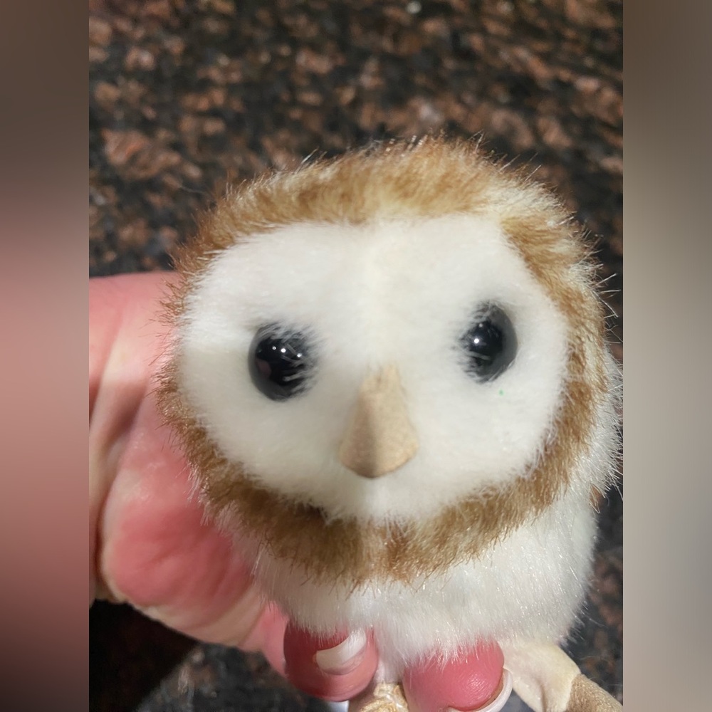 Soft Barn Owl Plush Toy - Brown & White